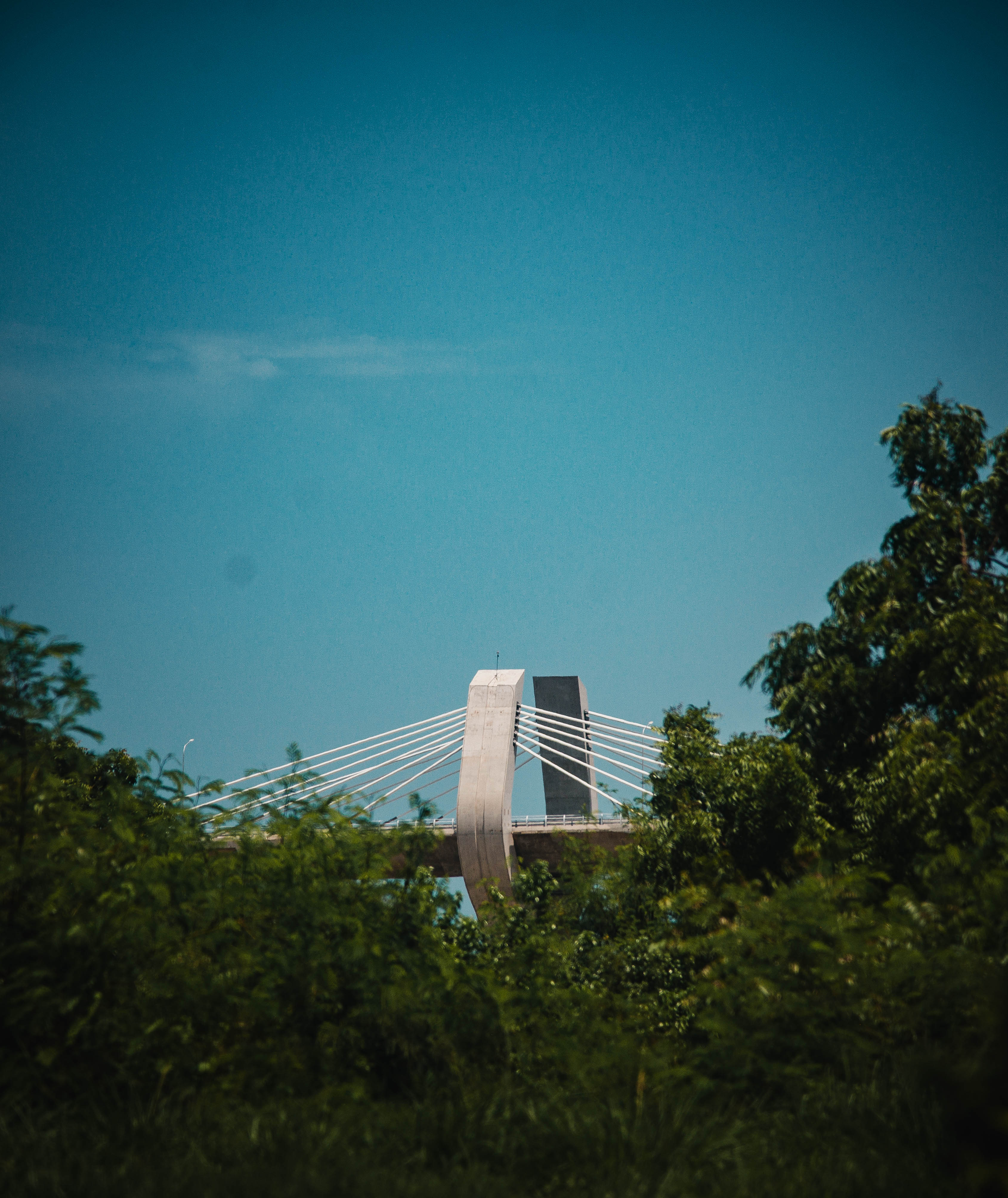 Concrete bridge behind green trees