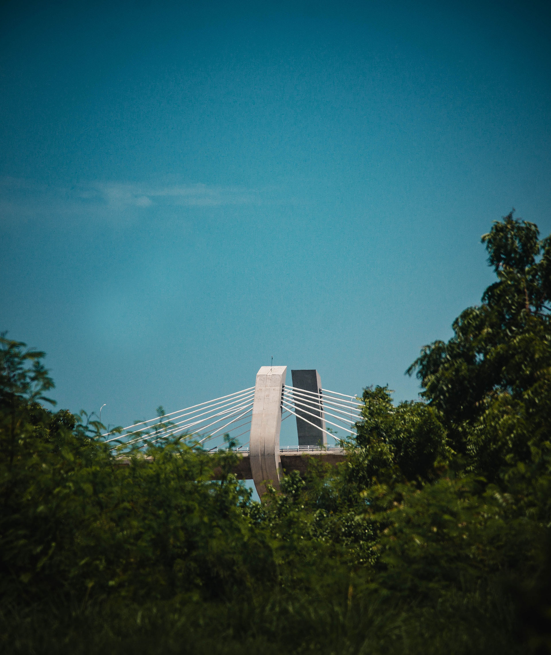 A modern cable-stayed bridge with a prominent central pylon, seen in the distance beyond lush green foliage under a clear blue sky.  